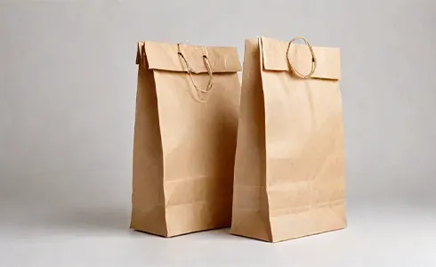 Disposable Bags